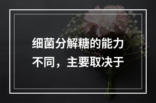 细菌分解糖的能力不同，主要取决于