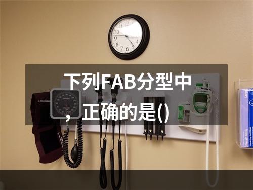 下列FAB分型中，正确的是()