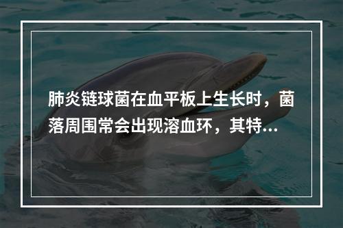 肺炎链球菌在血平板上生长时，菌落周围常会出现溶血环，其特征为