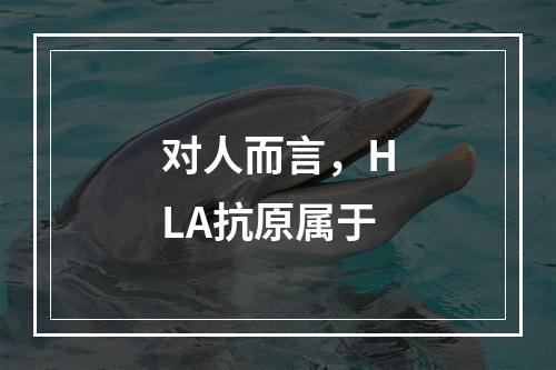 对人而言，HLA抗原属于