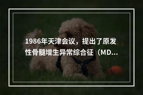 1986年天津会议，提出了原发性骨髓增生异常综合征（MDS）