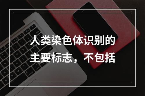 人类染色体识别的主要标志，不包括