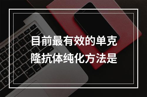 目前最有效的单克隆抗体纯化方法是