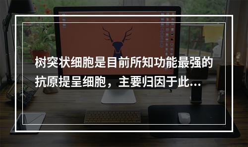 树突状细胞是目前所知功能最强的抗原提呈细胞，主要归因于此类细