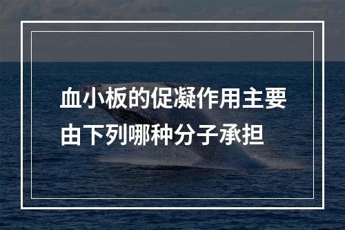 血小板的促凝作用主要由下列哪种分子承担