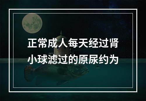 正常成人每天经过肾小球滤过的原尿约为