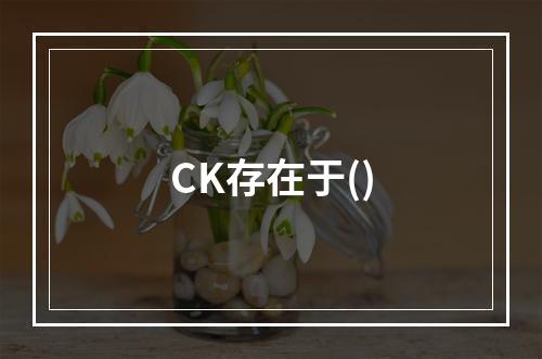 CK存在于()