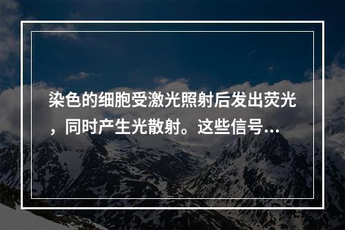 染色的细胞受激光照射后发出荧光，同时产生光散射。这些信号分别