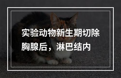 实验动物新生期切除胸腺后，淋巴结内