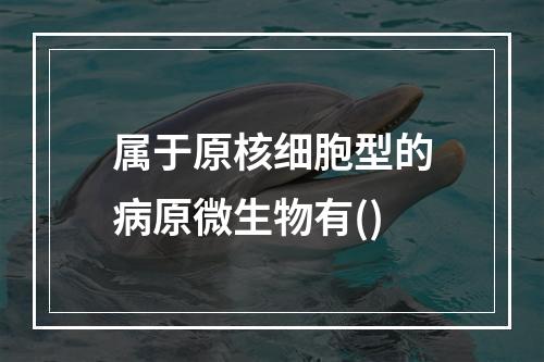 属于原核细胞型的病原微生物有()