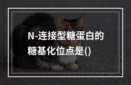 N-连接型糖蛋白的糖基化位点是()