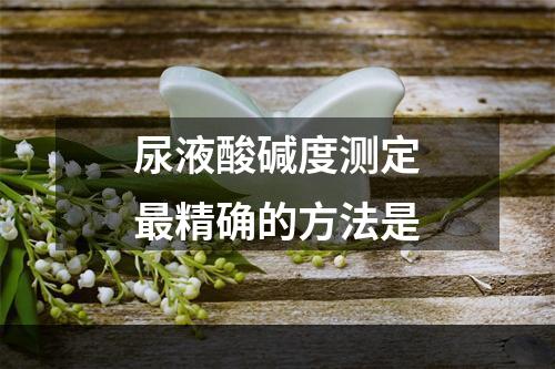 尿液酸碱度测定最精确的方法是