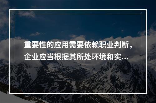 重要性的应用需要依赖职业判断，企业应当根据其所处环境和实际情