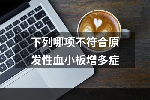 下列哪项不符合原发性血小板增多症