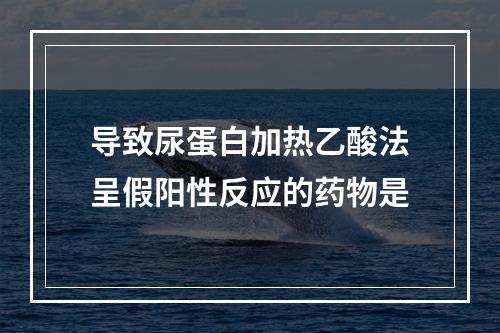 导致尿蛋白加热乙酸法呈假阳性反应的药物是