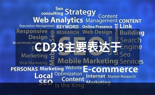 CD28主要表达于