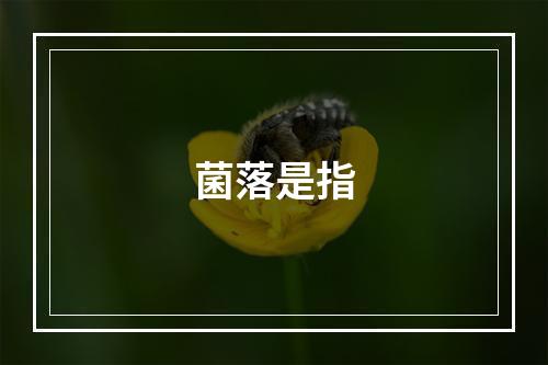 菌落是指