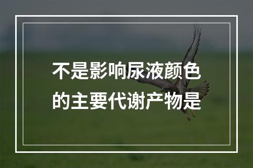 不是影响尿液颜色的主要代谢产物是