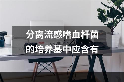 分离流感嗜血杆菌的培养基中应含有