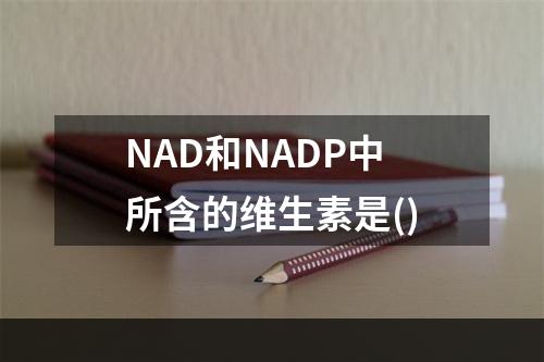 NAD和NADP中所含的维生素是()