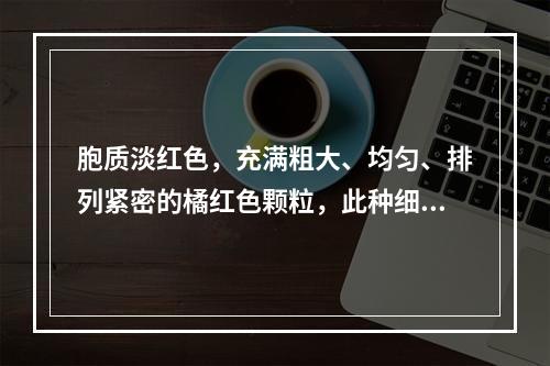 胞质淡红色，充满粗大、均匀、排列紧密的橘红色颗粒，此种细胞是