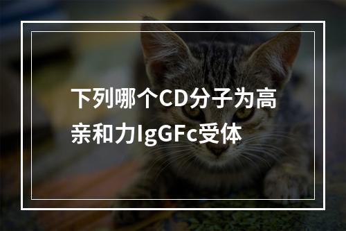 下列哪个CD分子为高亲和力IgGFc受体