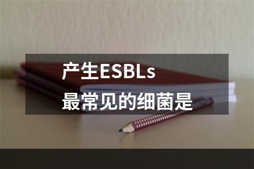 产生ESBLs最常见的细菌是