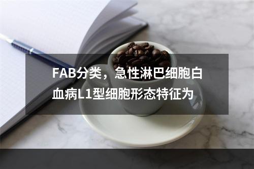 FAB分类，急性淋巴细胞白血病L1型细胞形态特征为