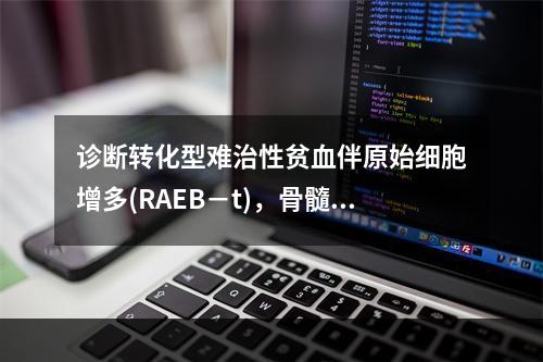 诊断转化型难治性贫血伴原始细胞增多(RAEB－t)，骨髓中原