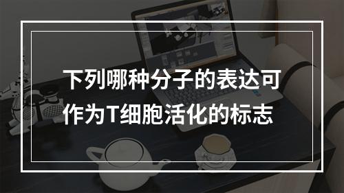 下列哪种分子的表达可作为T细胞活化的标志