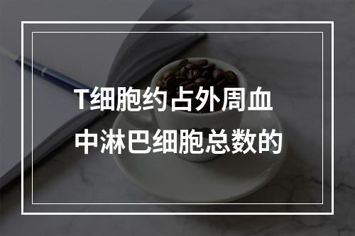 T细胞约占外周血中淋巴细胞总数的