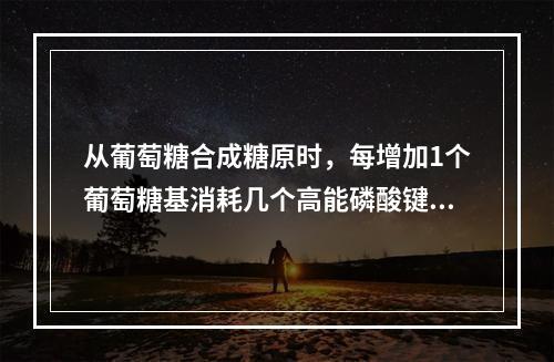 从葡萄糖合成糖原时，每增加1个葡萄糖基消耗几个高能磷酸键()