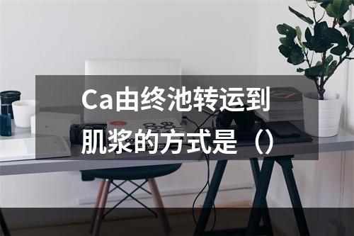 Ca由终池转运到肌浆的方式是（）