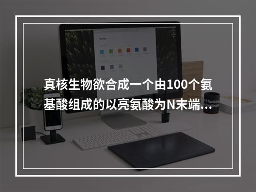 真核生物欲合成一个由100个氨基酸组成的以亮氨酸为N末端的蛋