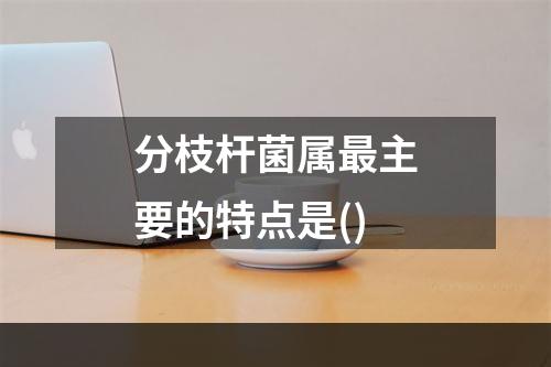 分枝杆菌属最主要的特点是()