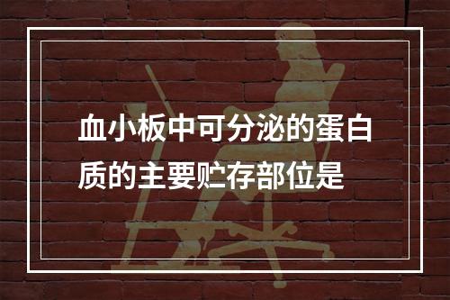 血小板中可分泌的蛋白质的主要贮存部位是