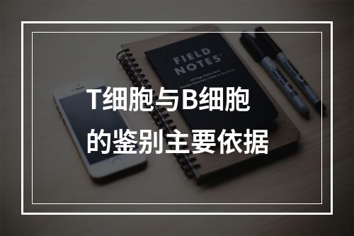 T细胞与B细胞的鉴别主要依据