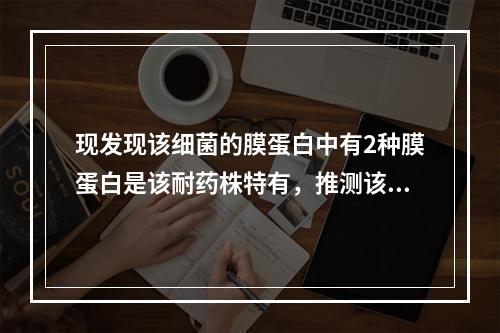 现发现该细菌的膜蛋白中有2种膜蛋白是该耐药株特有，推测该细菌