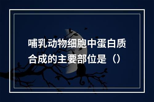 哺乳动物细胞中蛋白质合成的主要部位是（）