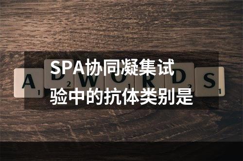 SPA协同凝集试验中的抗体类别是