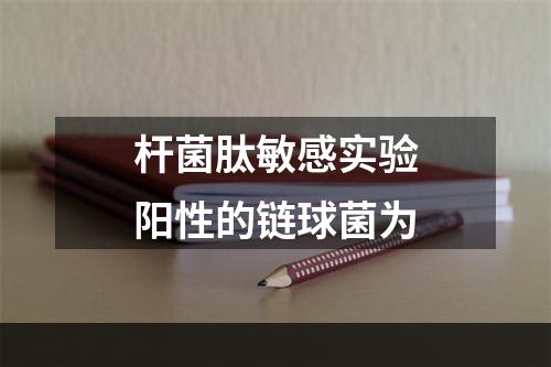 杆菌肽敏感实验阳性的链球菌为