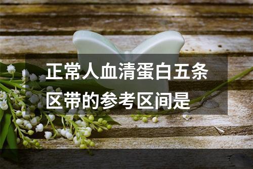 正常人血清蛋白五条区带的参考区间是