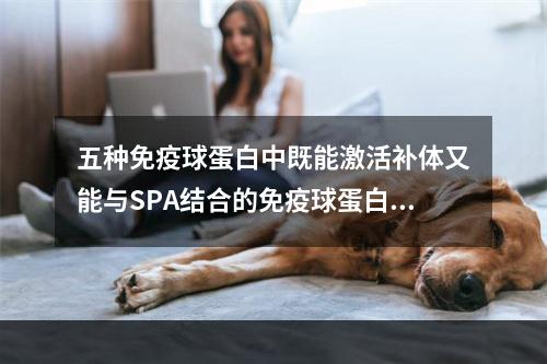 五种免疫球蛋白中既能激活补体又能与SPA结合的免疫球蛋白是