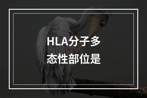 HLA分子多态性部位是