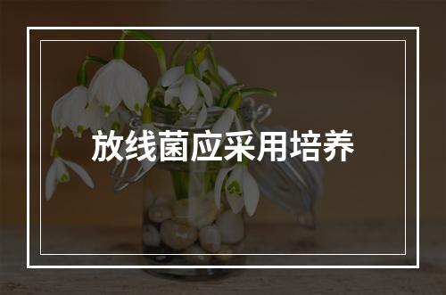 放线菌应采用培养