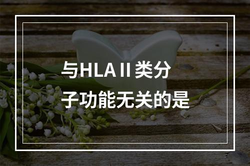 与HLAⅡ类分子功能无关的是