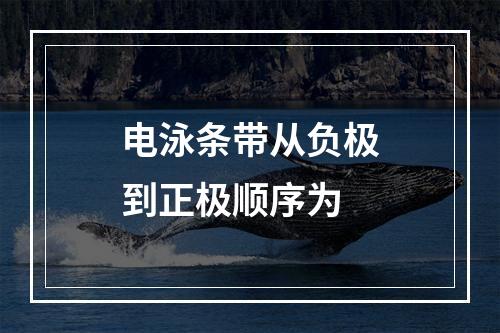 电泳条带从负极到正极顺序为