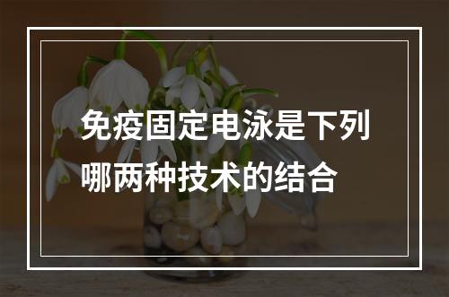 免疫固定电泳是下列哪两种技术的结合