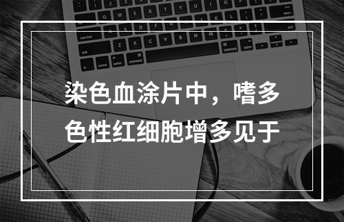 染色血涂片中，嗜多色性红细胞增多见于