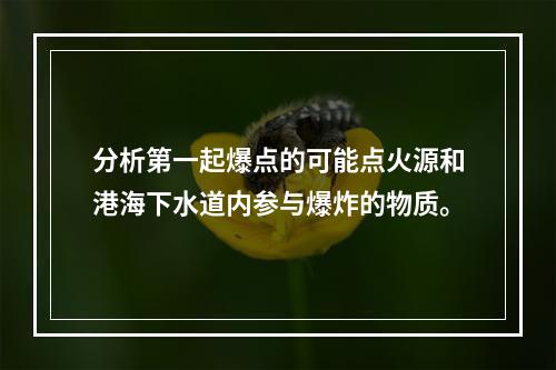 分析第一起爆点的可能点火源和港海下水道内参与爆炸的物质。